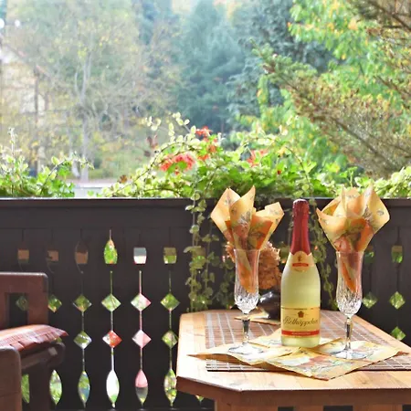 Alluring Holiday In Blankenburg With Garden