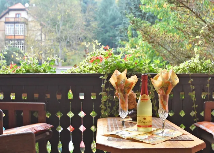 Alluring Holiday In Blankenburg With Garden